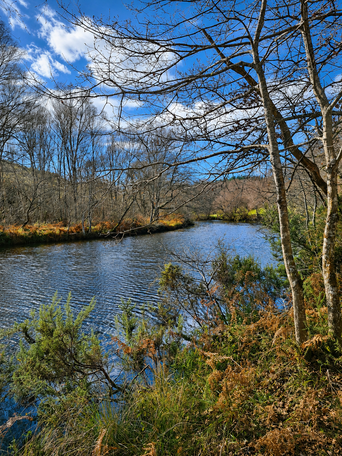 Río Narla at Bravos Estate