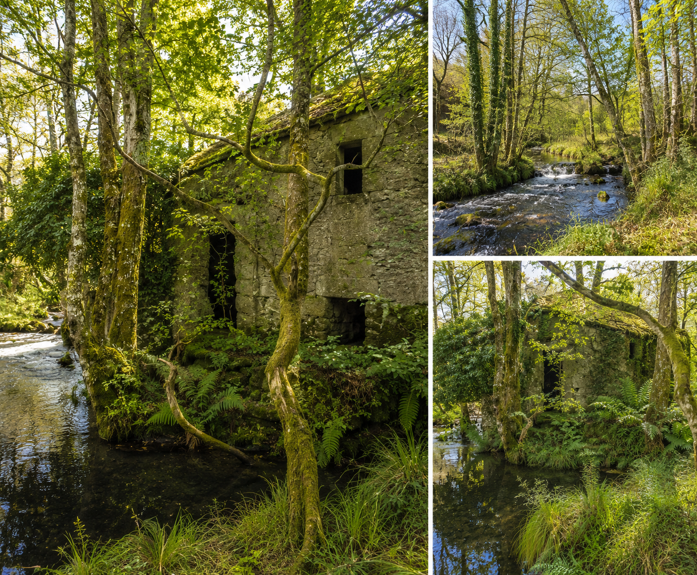 Watermill beside river