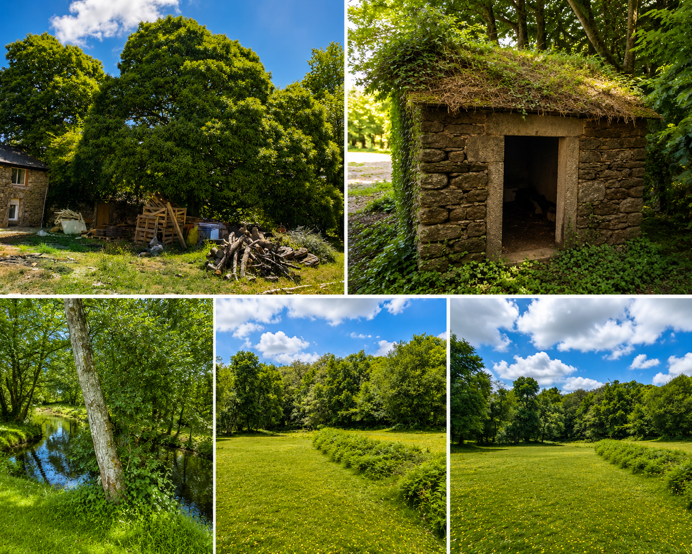 Landscape details across Bravos Estate